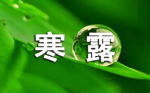 形容寒露天气的话语