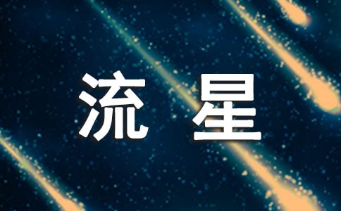 (经典)流星作文500字5篇