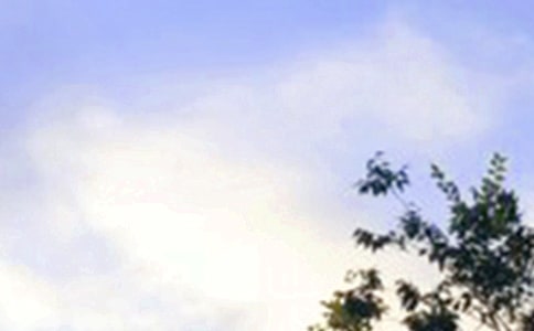 【热门】每日一签早安问候语语录32条