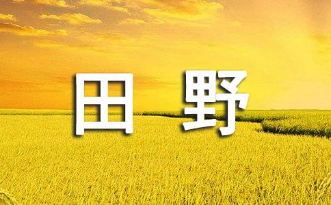 (热)实用的田野作文3篇
