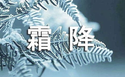 今日霜降的话