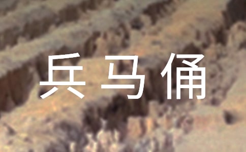 兵马俑的作文【集锦5篇】