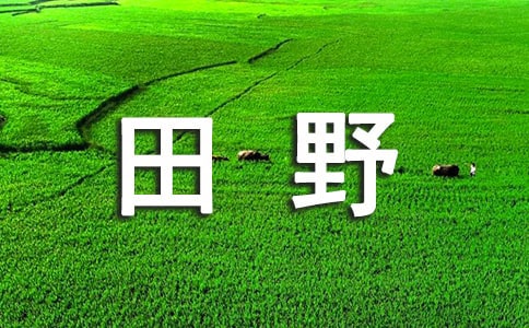 [优]田野作文6篇