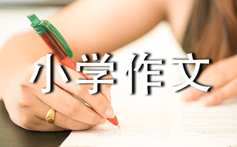枫叶小学作文(15篇)